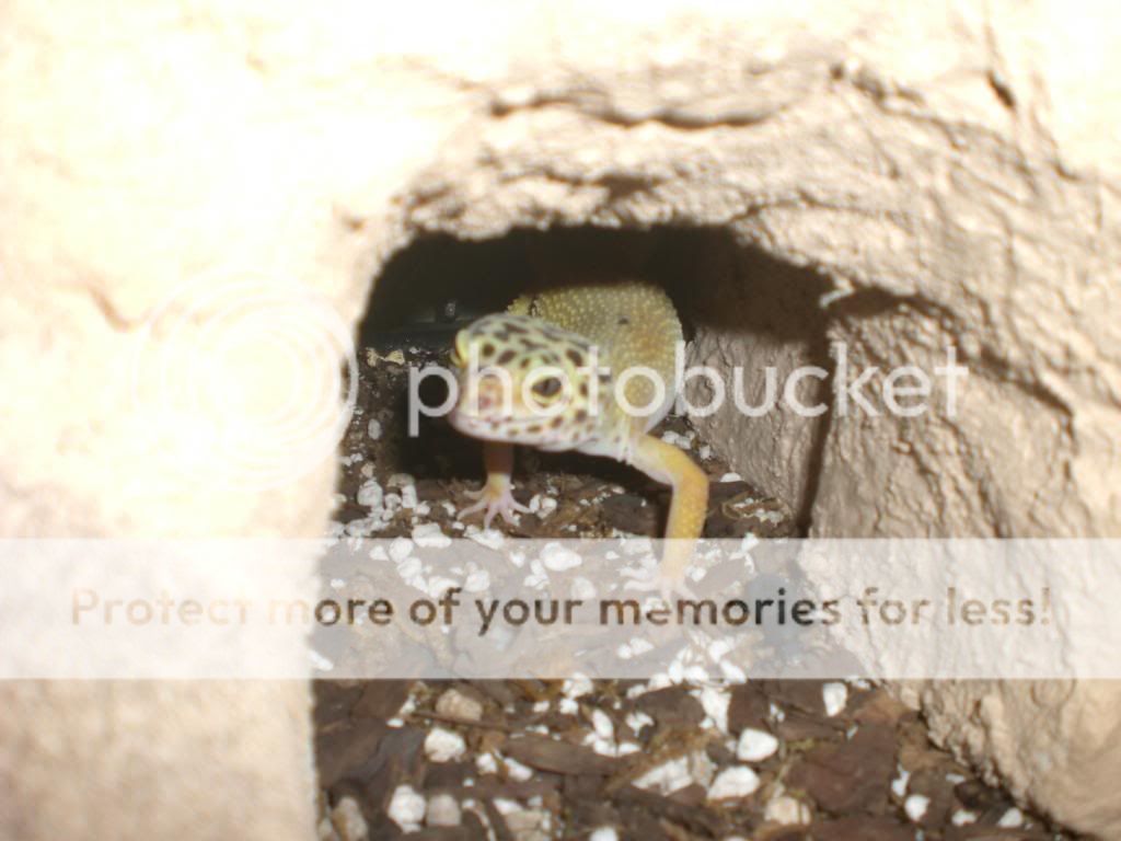junepix022.jpg