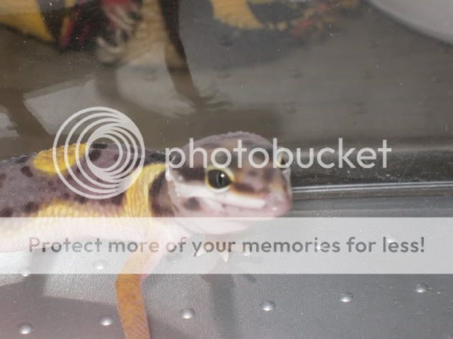 Picture521.jpg