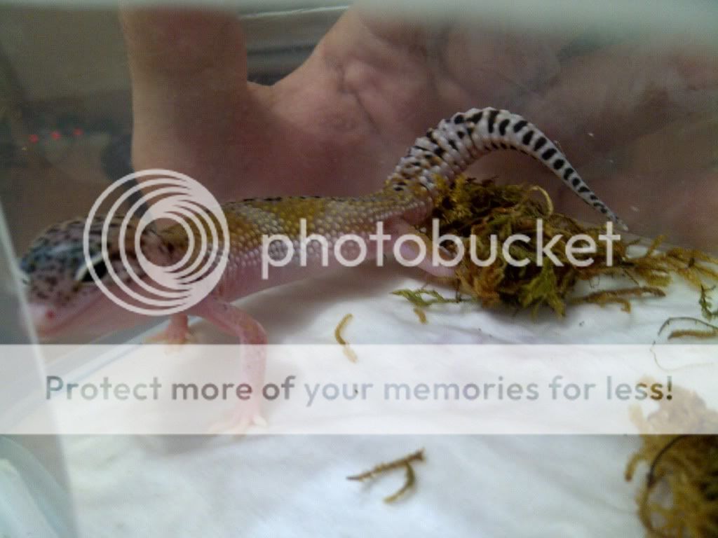 IMG-20120614-00257.jpg