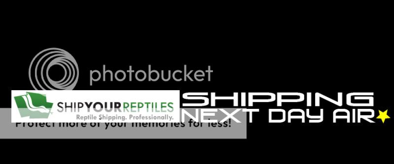 shipyourept-logo-og.jpg