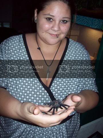 EJholdsaspider004.jpg