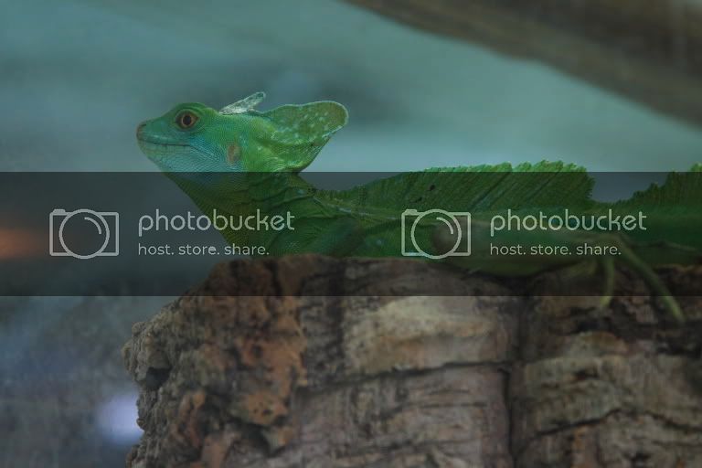 CRW_0172.jpg