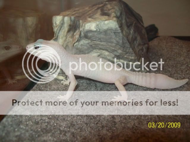 100_1396.jpg