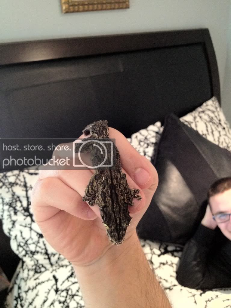 photo7.jpg