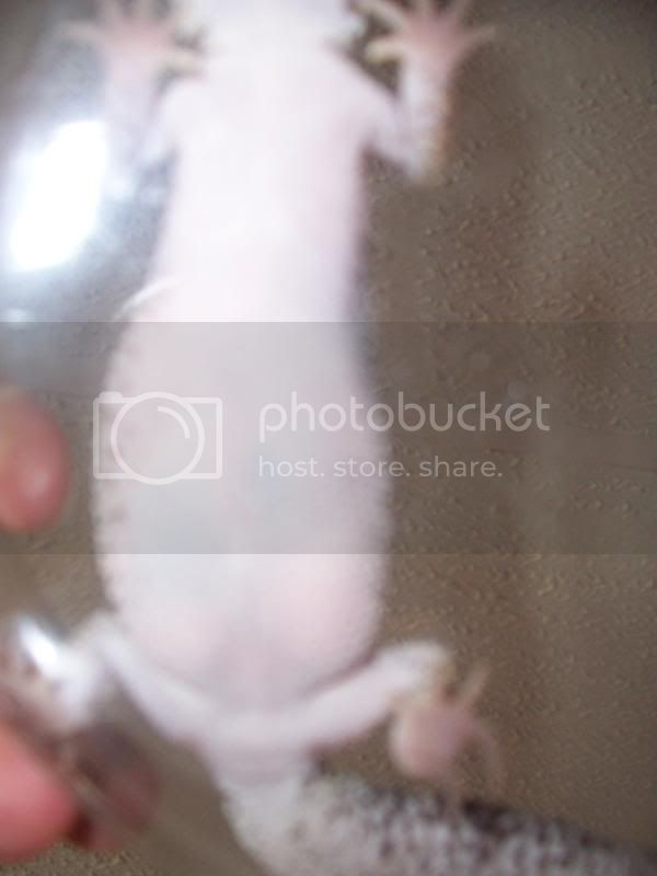 100_1745.jpg