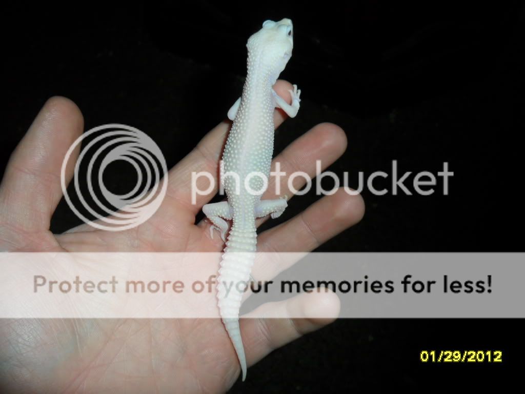 Picture876.jpg