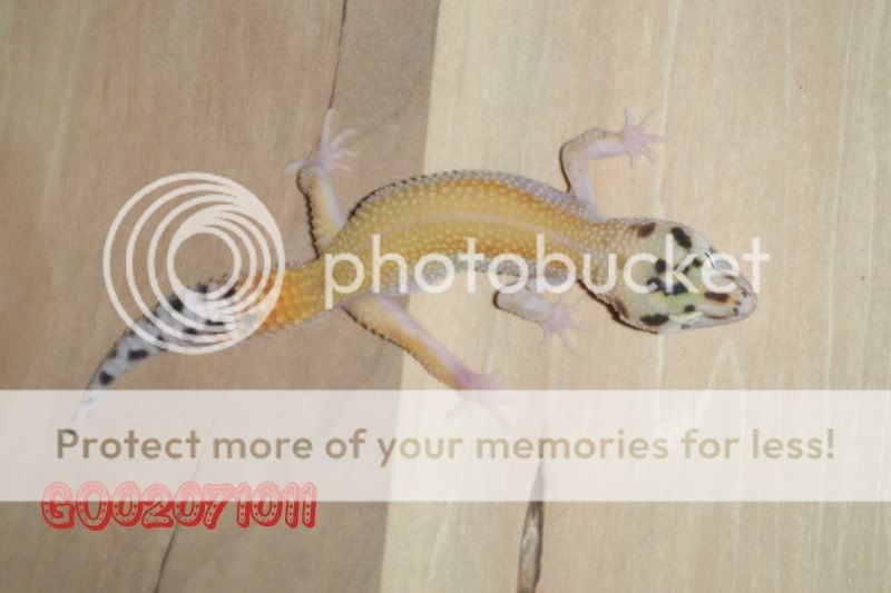 DSCF0828.jpg