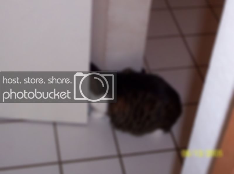 bellestuck.jpg