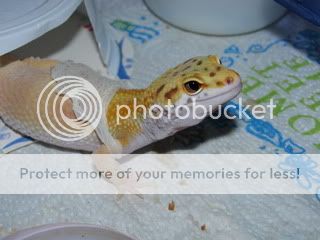 IMG_2458.jpg