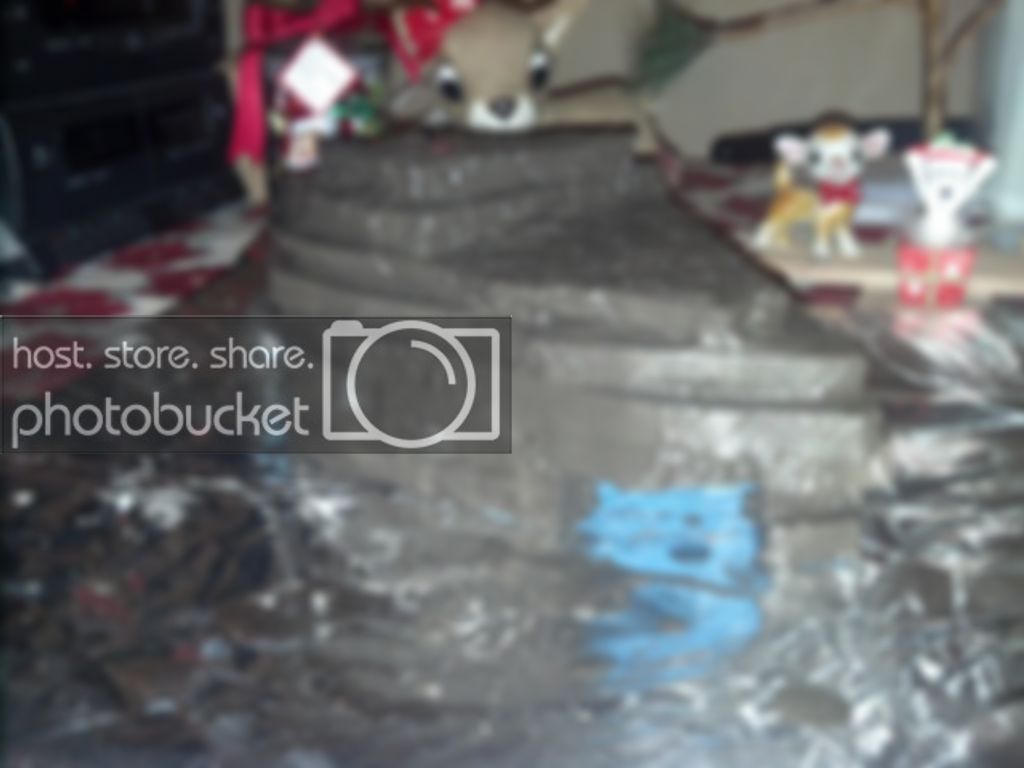 IMG_20131224_223740_zpsrp0gzewf.jpg