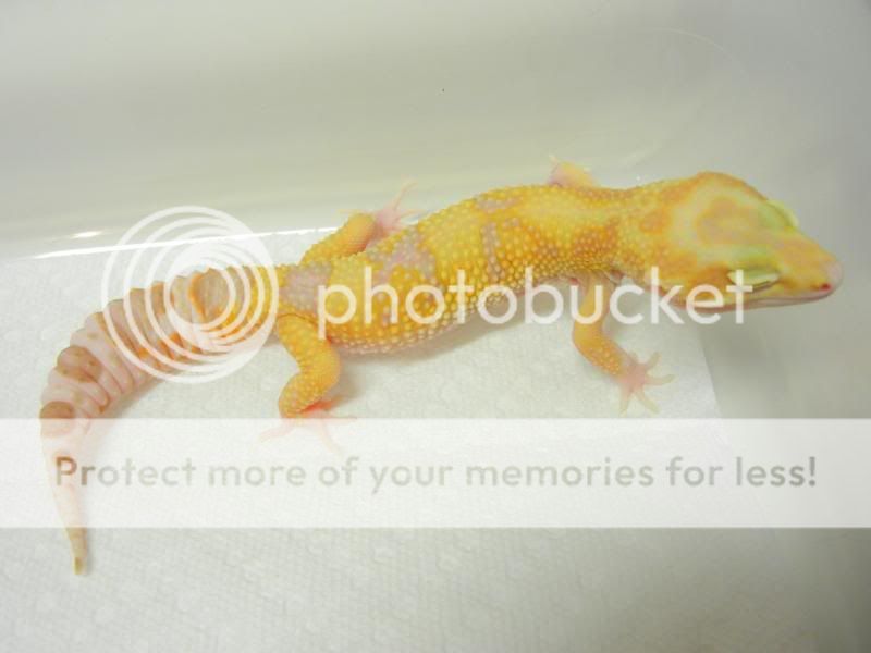 DSCN2522.jpg
