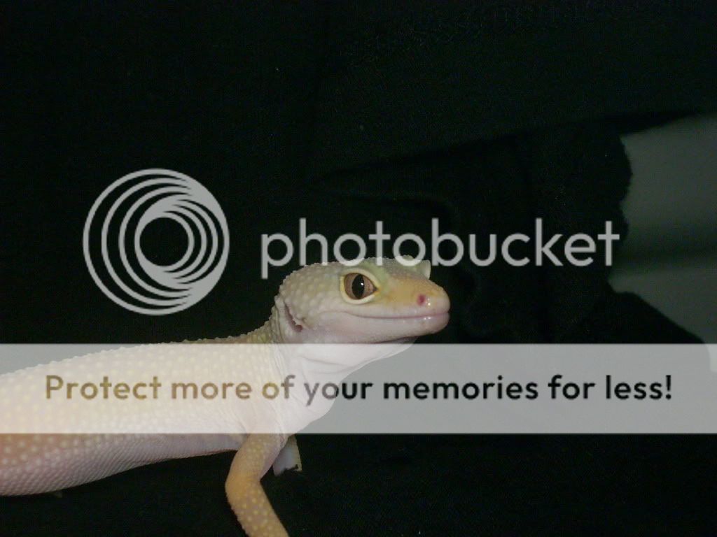 DSCN0464.jpg