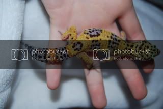 DSC_1239.jpg