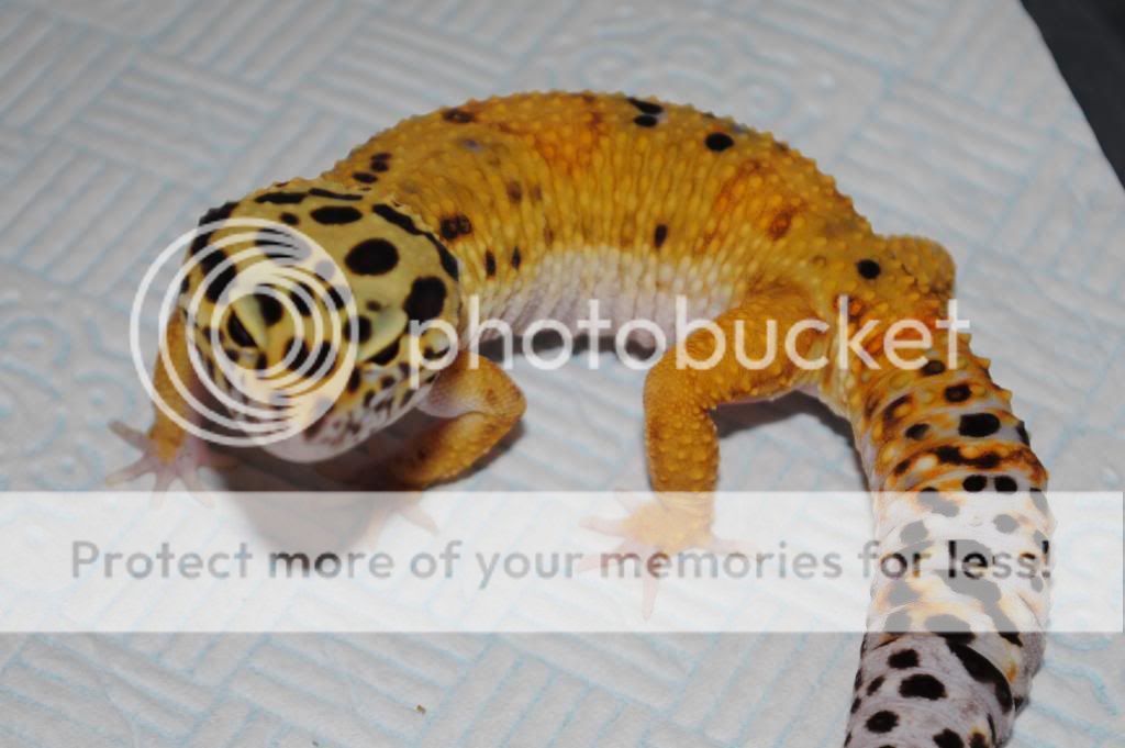 007-6_zpsc632aade.jpg