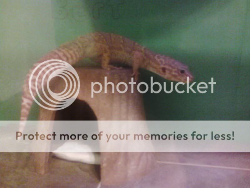 1201121851a.jpg