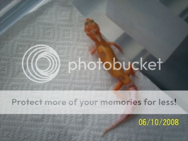 100_2360.jpg