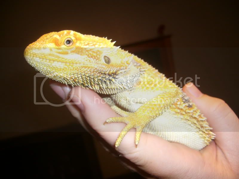 kash003.jpg