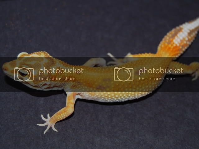 CSC_1393.jpg