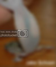DSC_1039-1-1-1.jpg