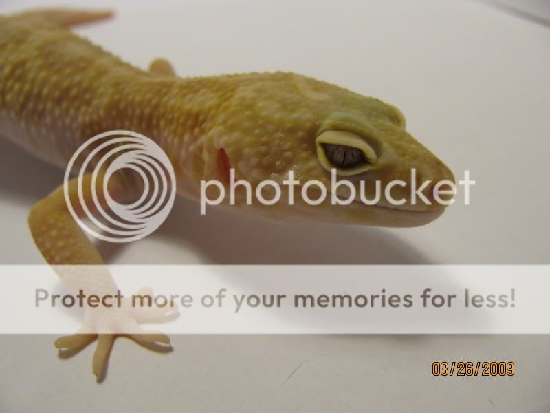 IMG_0068.jpg