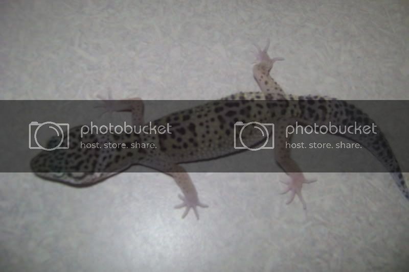 DSC00471-2.jpg