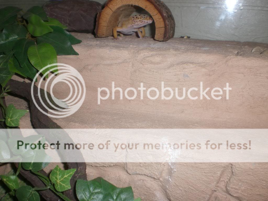 junepix020.jpg