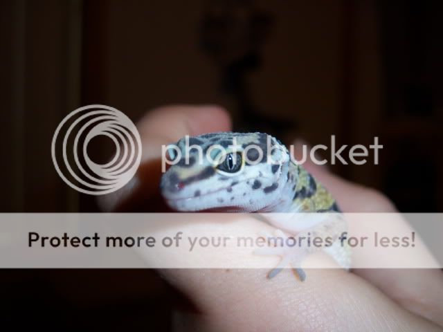 100_1410.jpg