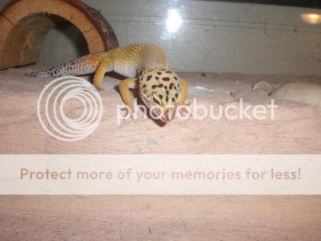junepix015.jpg