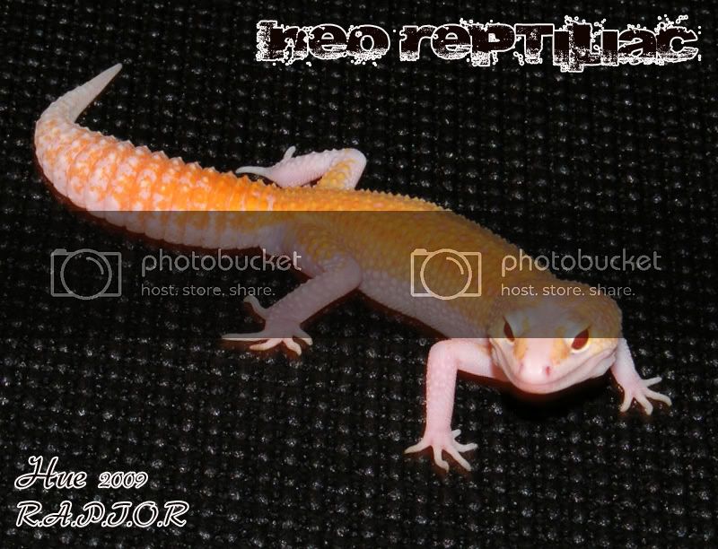 hue-028.jpg