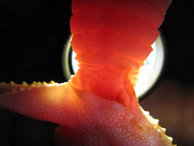 5967737379_2e4d525a87_z.jpg