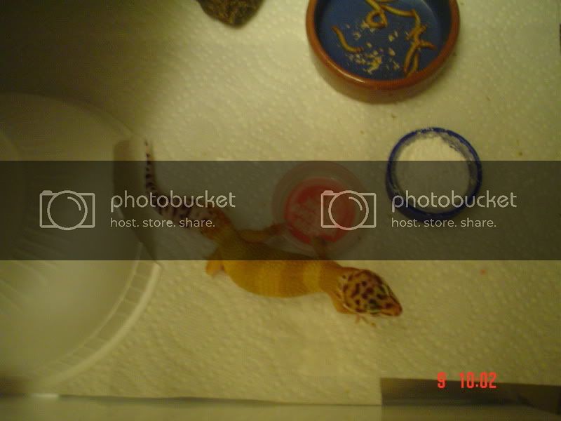 DSC00756.jpg