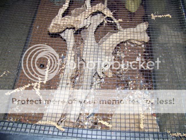 100_2492.jpg