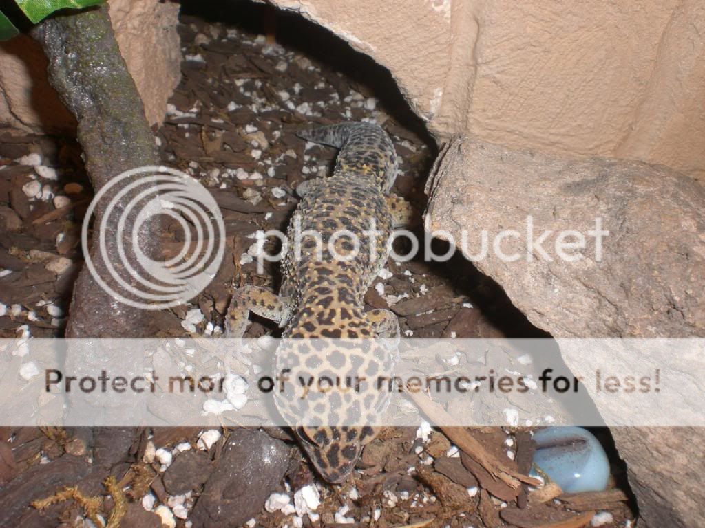 junepix014.jpg