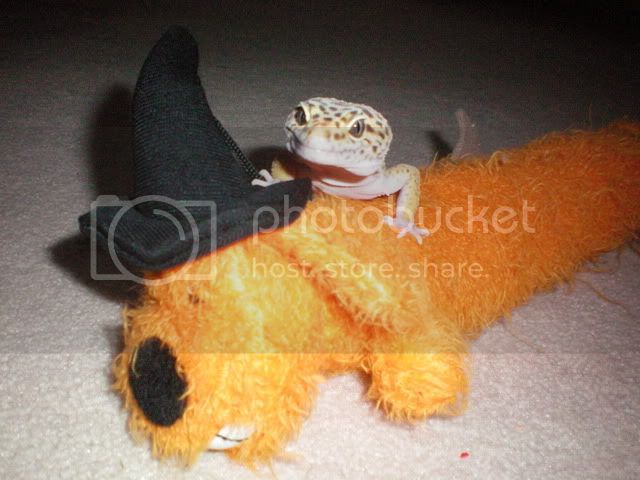 100_0020.jpg