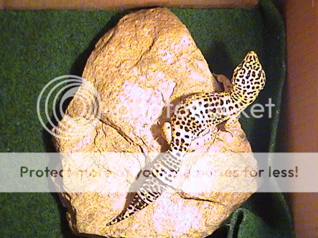 DSC00075.jpg