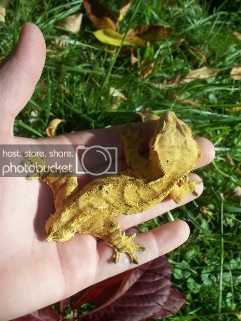 100_3249.jpg
