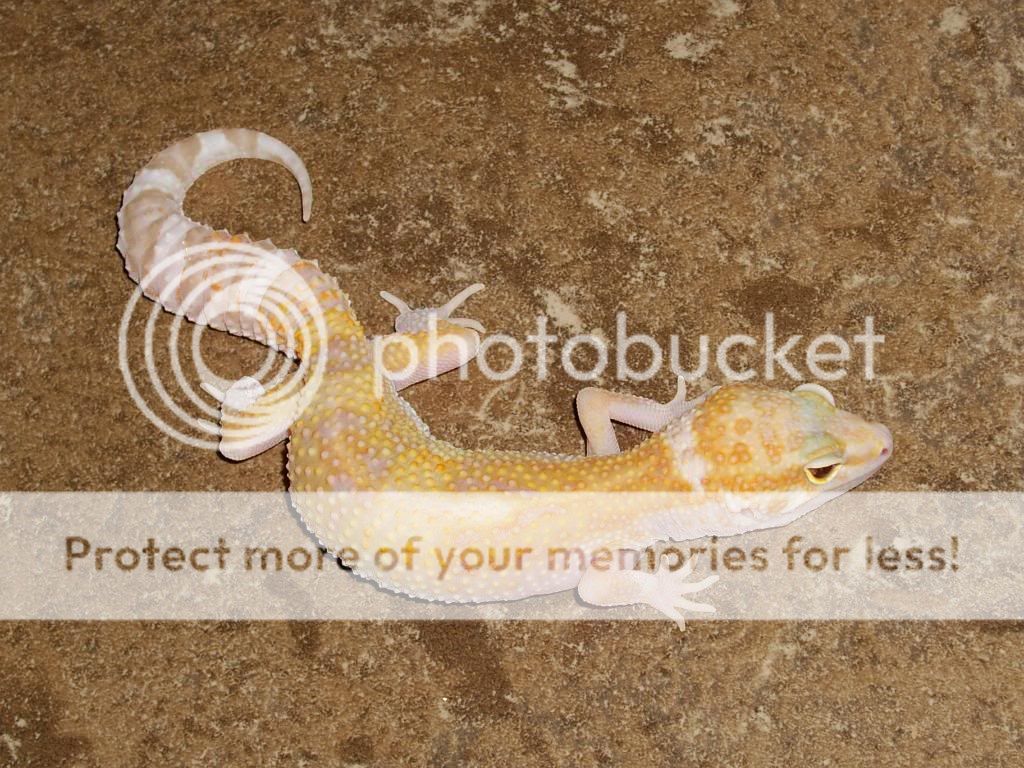 IMGP5862.jpg
