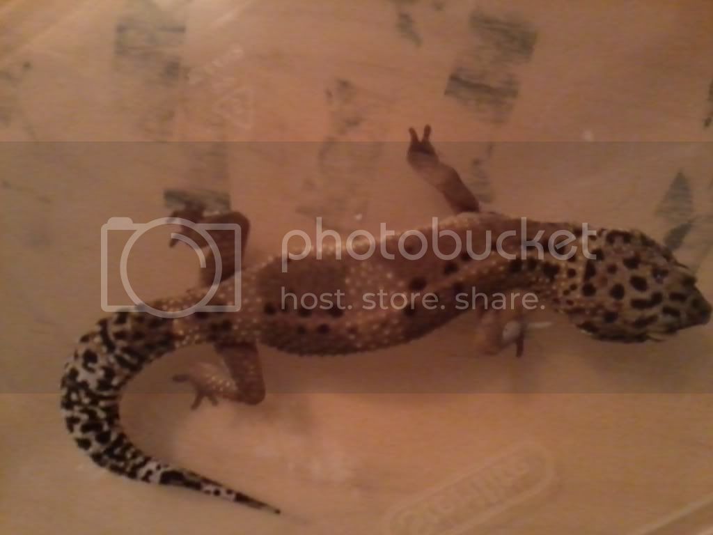 IMG_20120312_214703.jpg