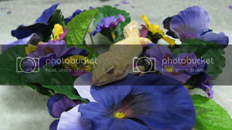 IMG_1727.jpg