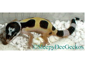 02alma09_small.gif