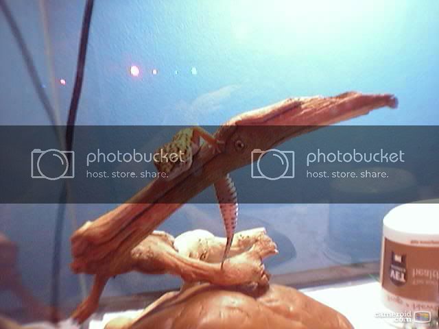snapshot4.jpg