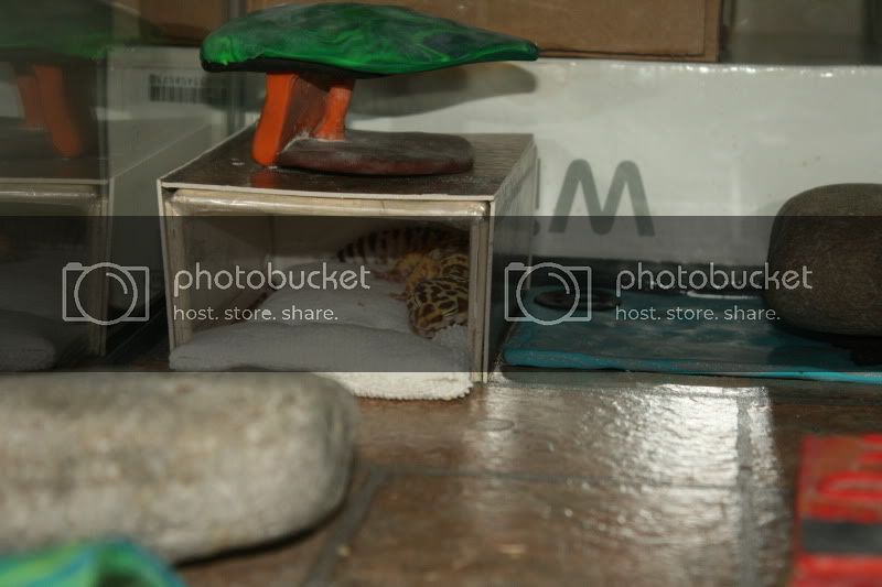 IMG_0869.jpg