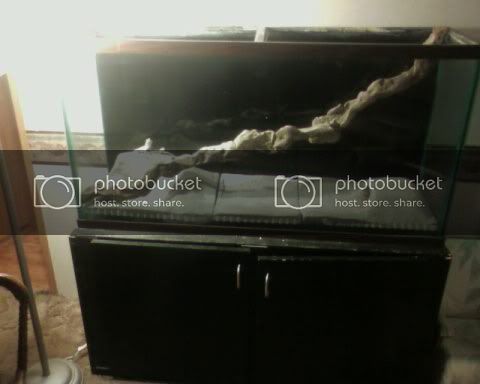 5ba3368e128a.jpg
