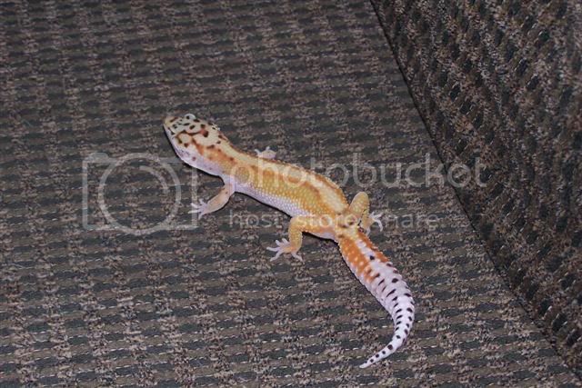 100_0032Small.jpg