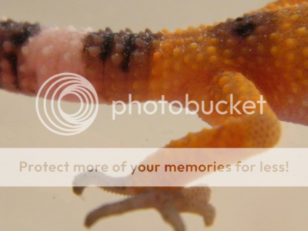 DSCF1868.jpg