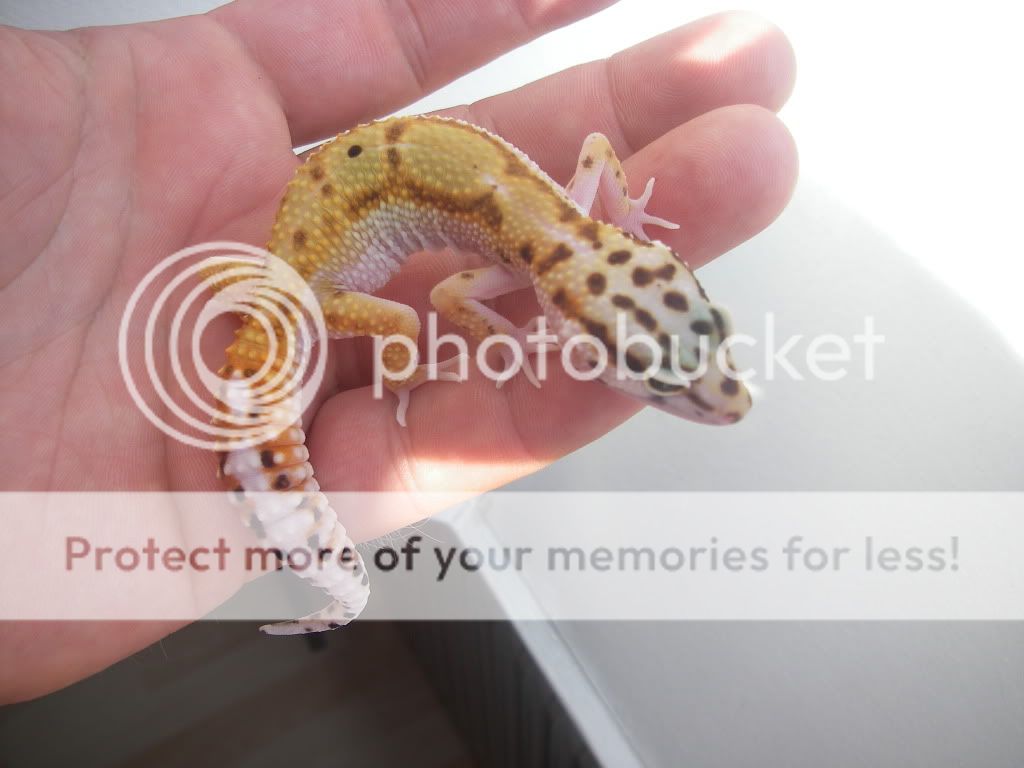 IMGP7766.jpg