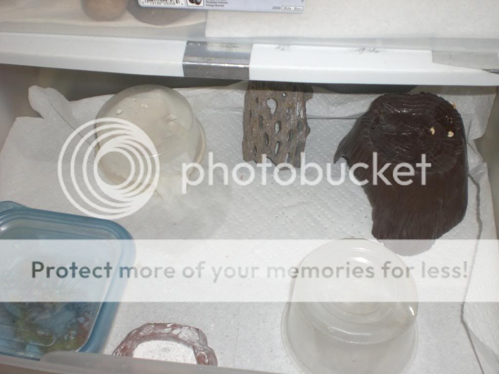 junepix038.jpg