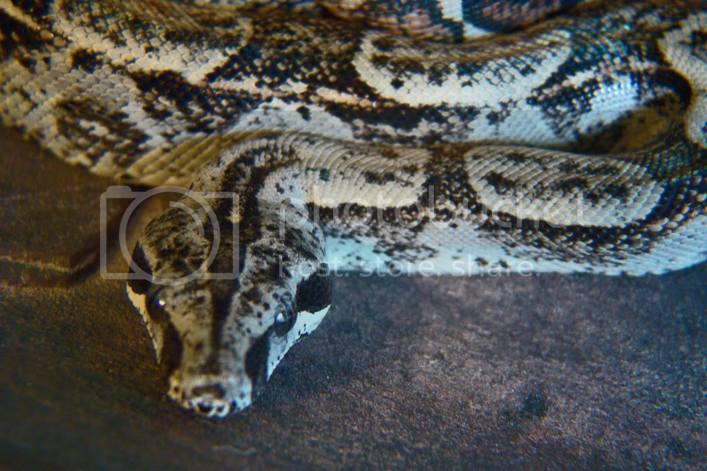 DSC02122_edited-1.jpg