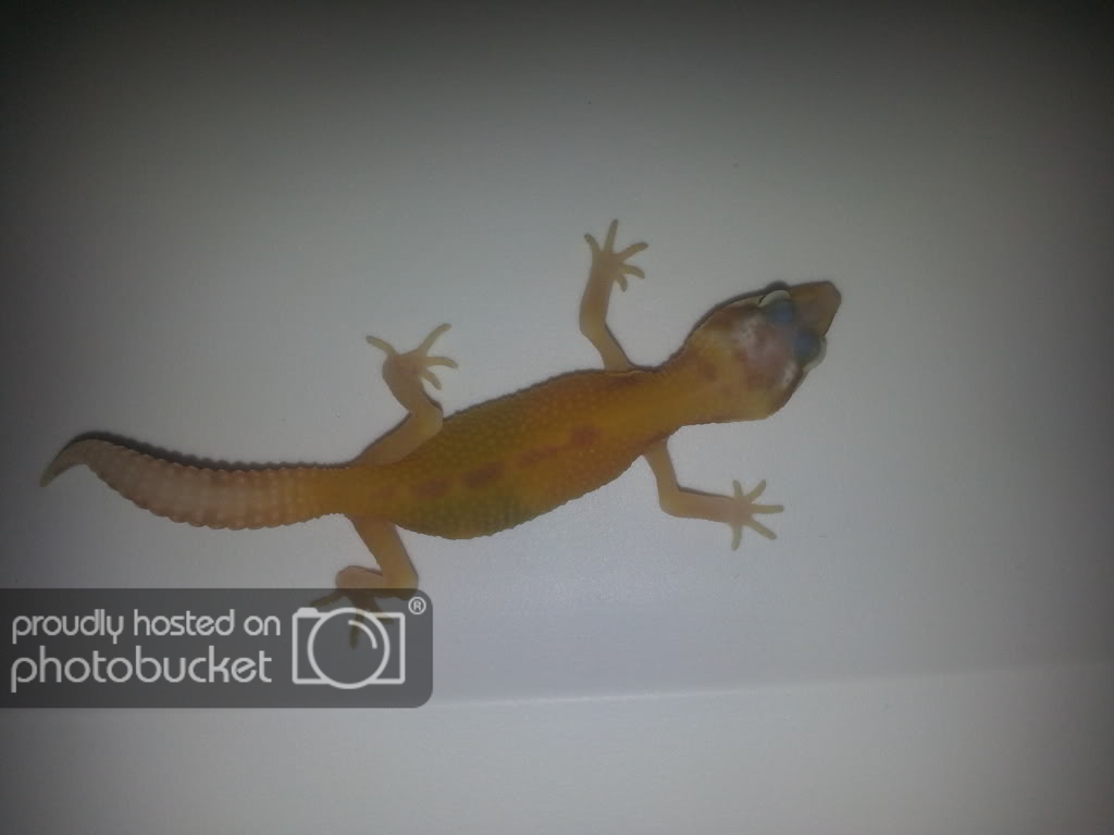 20130426_163303.jpg