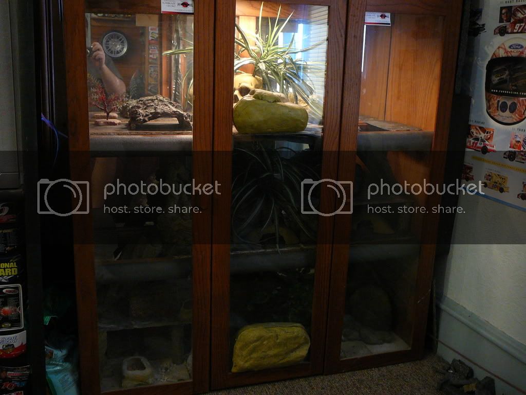 geckocondo004.jpg